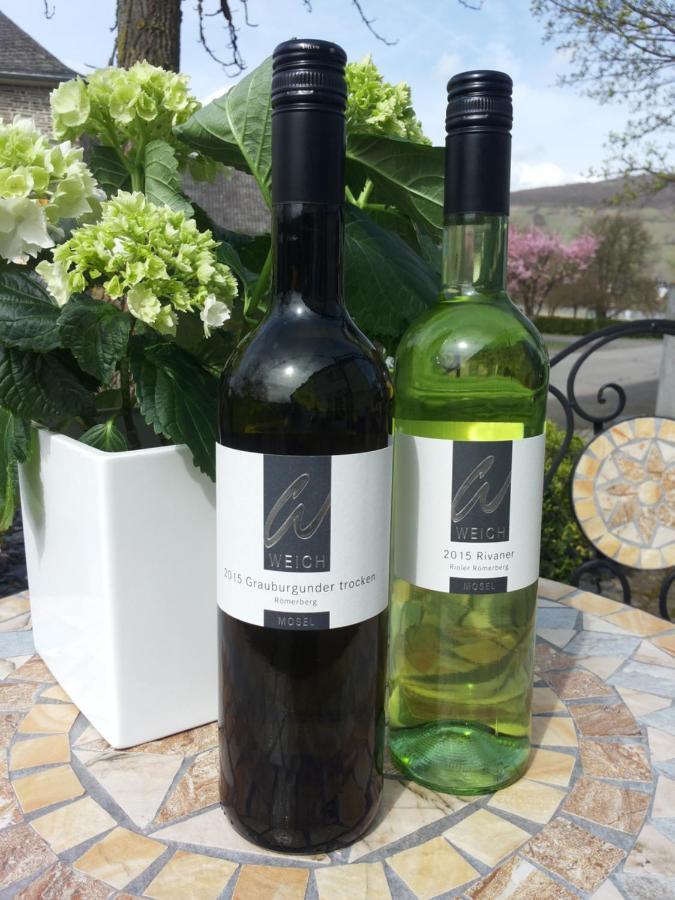 فندق Weingut Weich Riol المظهر الخارجي الصورة