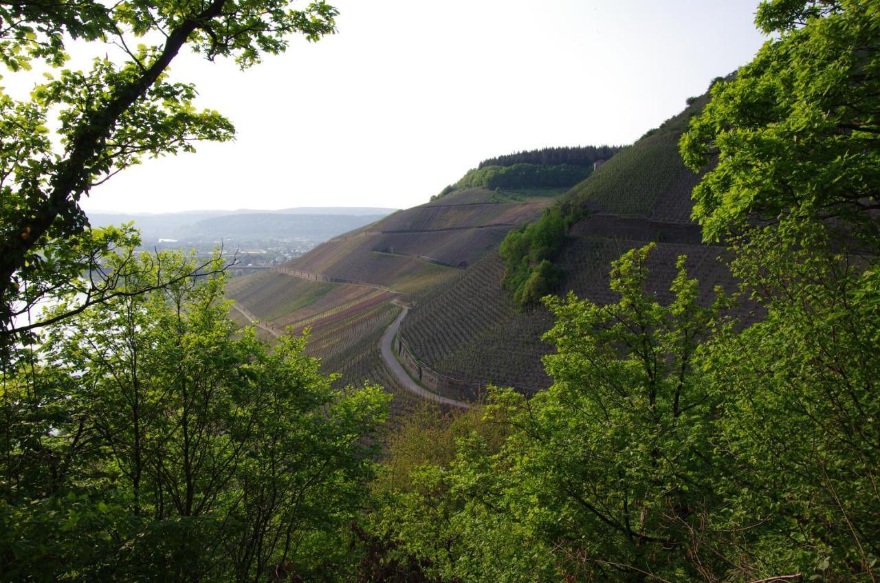 فندق Weingut Weich Riol المظهر الخارجي الصورة
