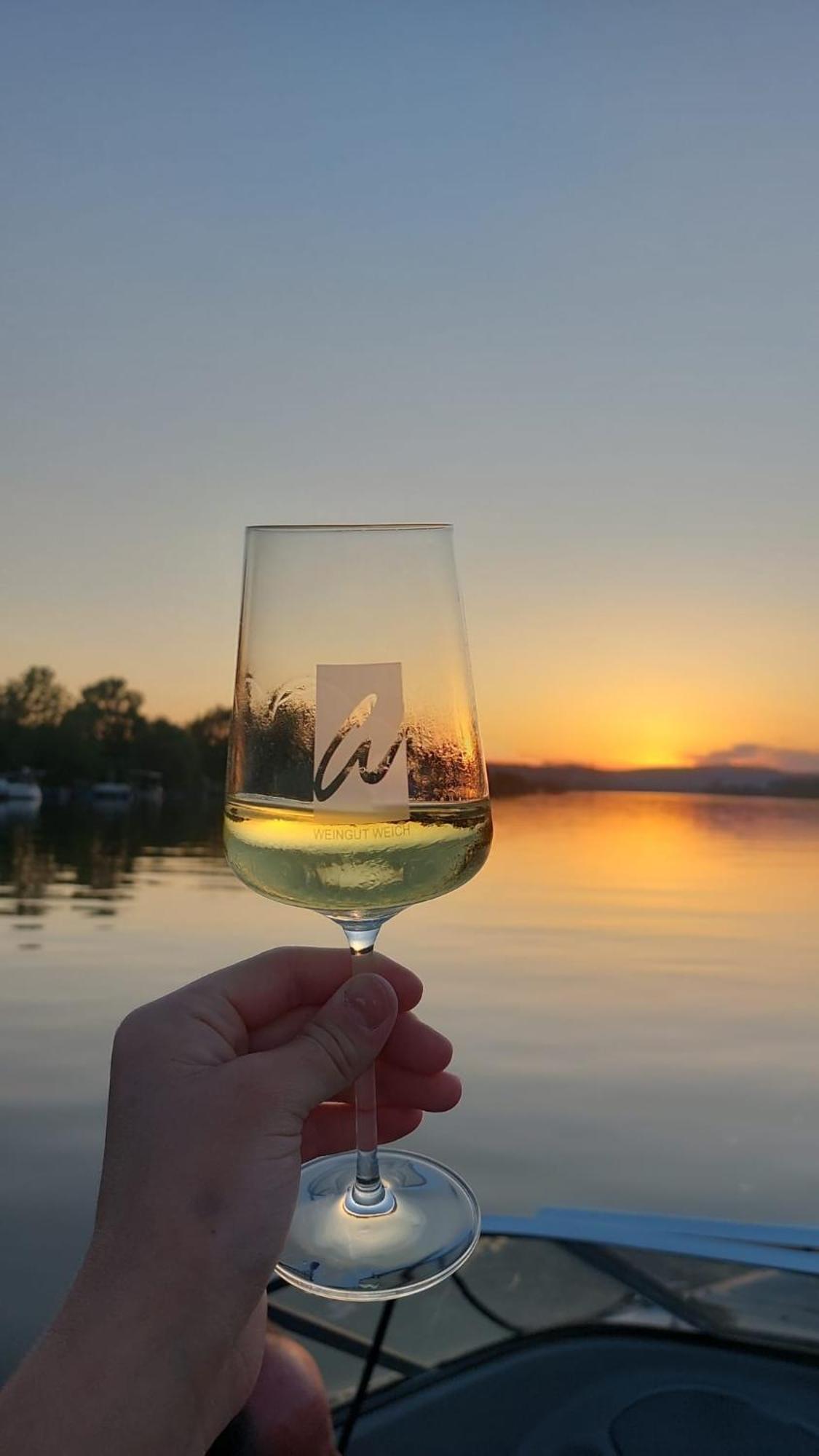 فندق Weingut Weich Riol المظهر الخارجي الصورة